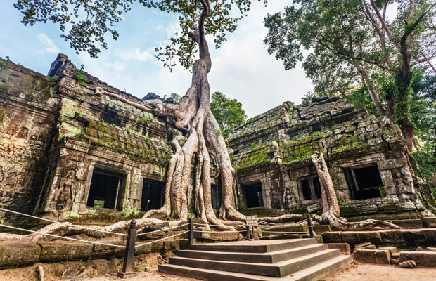 Angkor 1 day tour ( Big tour + Banteay Srey) by SUV Lexus 4 seats